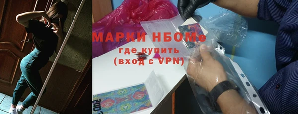 СК Алексин