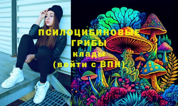 гидропоника Алзамай