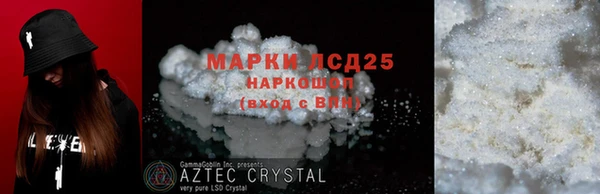СК Алексин