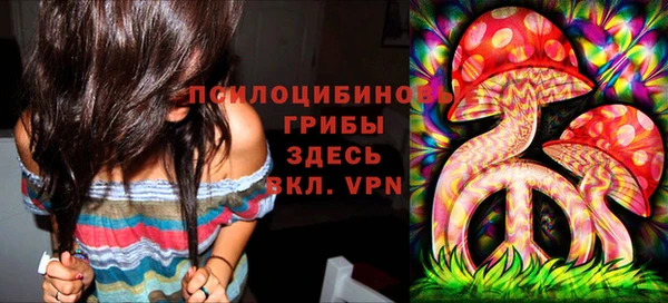 гидропоника Алзамай