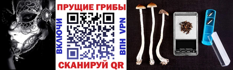 Галлюциногенные грибы прущие грибы  магазин  наркотиков  Куйбышев 